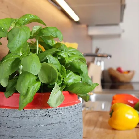 Διαμέρισμα Appartementhaus Reiter *