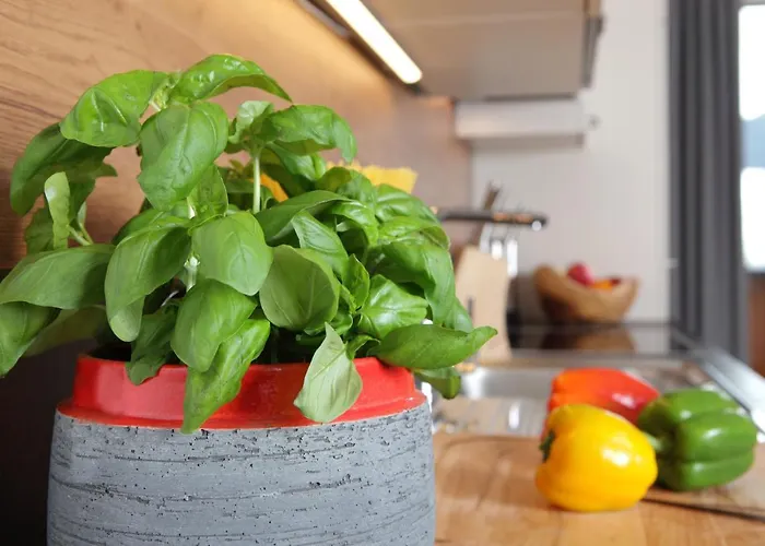 Apartman Appartementhaus Reiter *