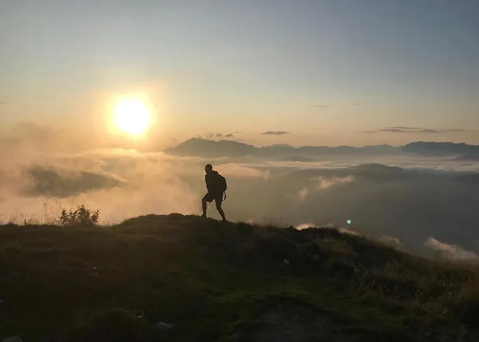 Appartementhaus Reiter Apartman *