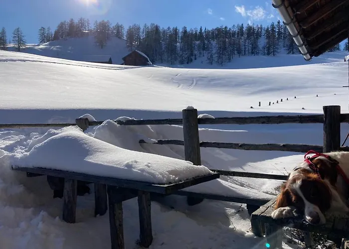 Appartementhaus Reiter * Altenmarkt im Pongau